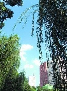 空氣質(zhì)量好