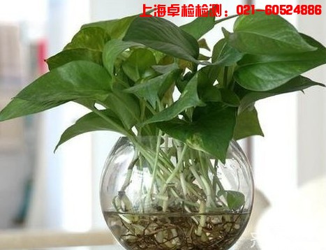 上海室內空氣質量檢測中心-上海CMA檢測報告