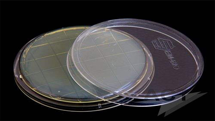 上海室內(nèi)空氣質(zhì)量檢測(cè)中心-上海CMA檢測(cè)報(bào)告