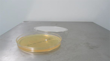 上海室內(nèi)空氣質(zhì)量檢測(cè)中心-上海CMA檢測(cè)報(bào)告